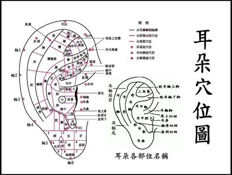 耳洞破相補救